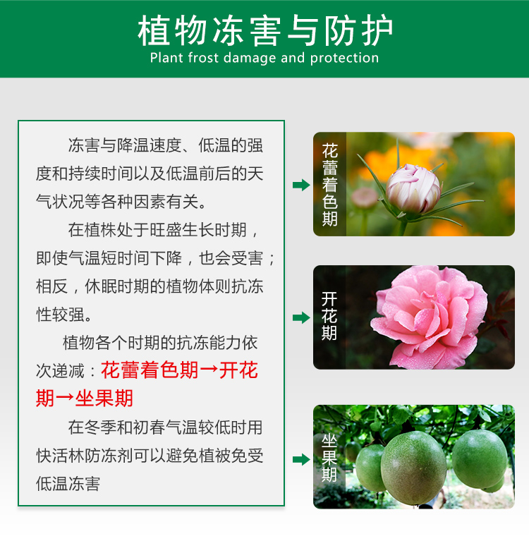 植物冻害与防护