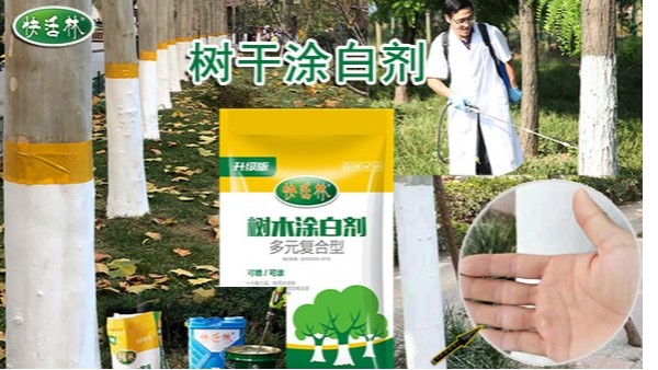 河南绿化大树使用的涂白剂多少钱？郑州涂白剂厂家哪个好？