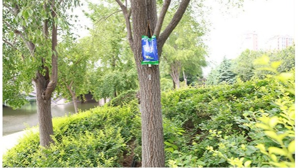 给树输液营养袋哪个好？绿化养护输液有什么好处？