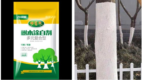 无锡胡经理行道树涂白难题终于解决了，快活林大树涂白剂生产商
