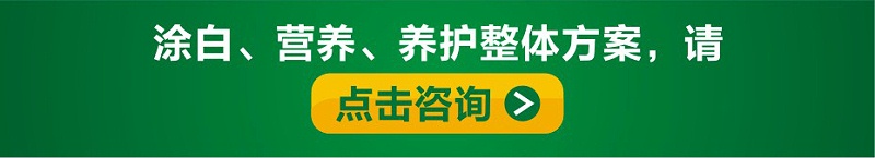 涂白剂_14