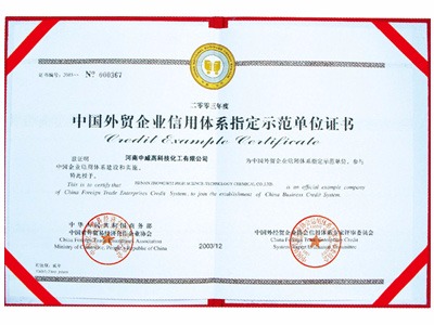 中国外贸企业信用体系指定示范单位证书