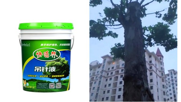 韩经理没有栽不好的树，有快活林大树专用营养液底气就是足