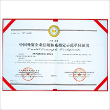中国外贸企业信用体系指定示范单位