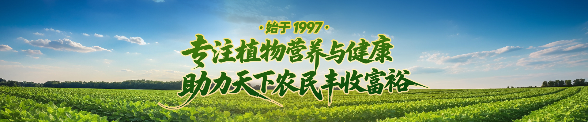 河南中威文化