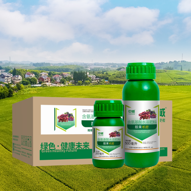 靓果机密